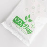 CO2Bag XL Kohlendioxid