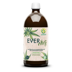 Ever Roots 1L