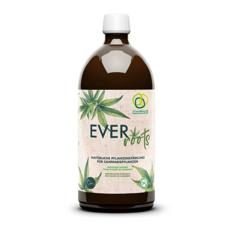 Ever Roots 1L