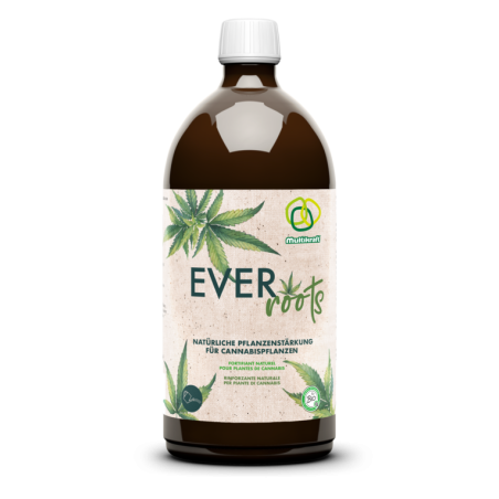 Ever Roots 1L