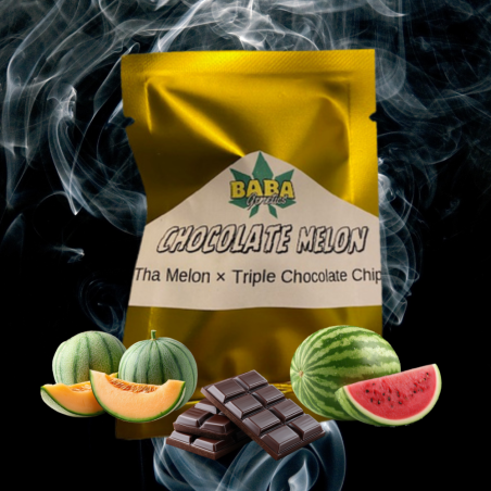 Chocolate Melon (15reg)