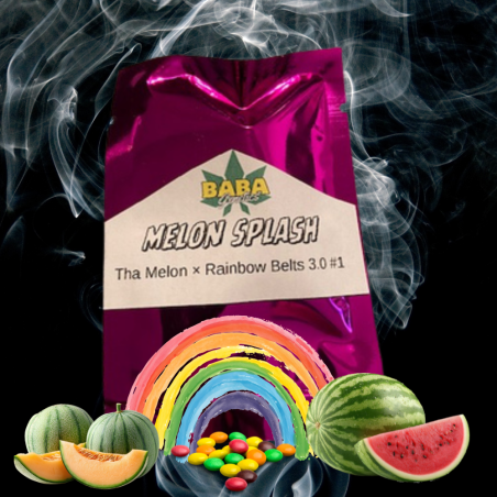 Melon Splash (15reg)