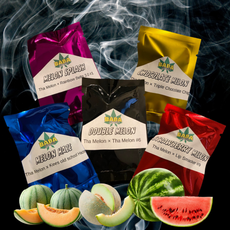 Full lineup + bonus Tha Melon f2 (total 70 reg)