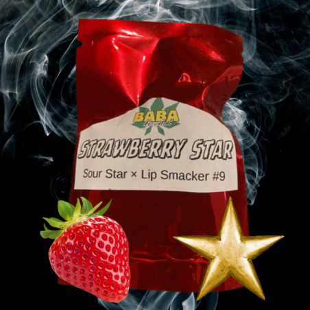 Strawberry Star (12reg)