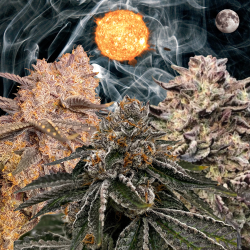 Outdoor 3 Bundle