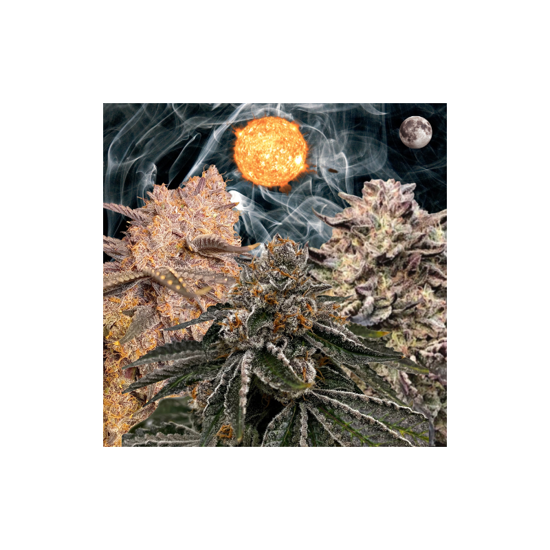 Outdoor 3 Bundle