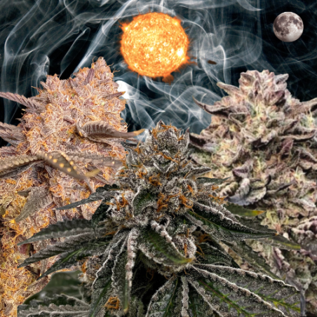 Outdoor 3 Bundle