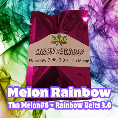 Melon Rainbow (15reg)